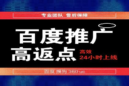 百度推广公司：成功案例解析